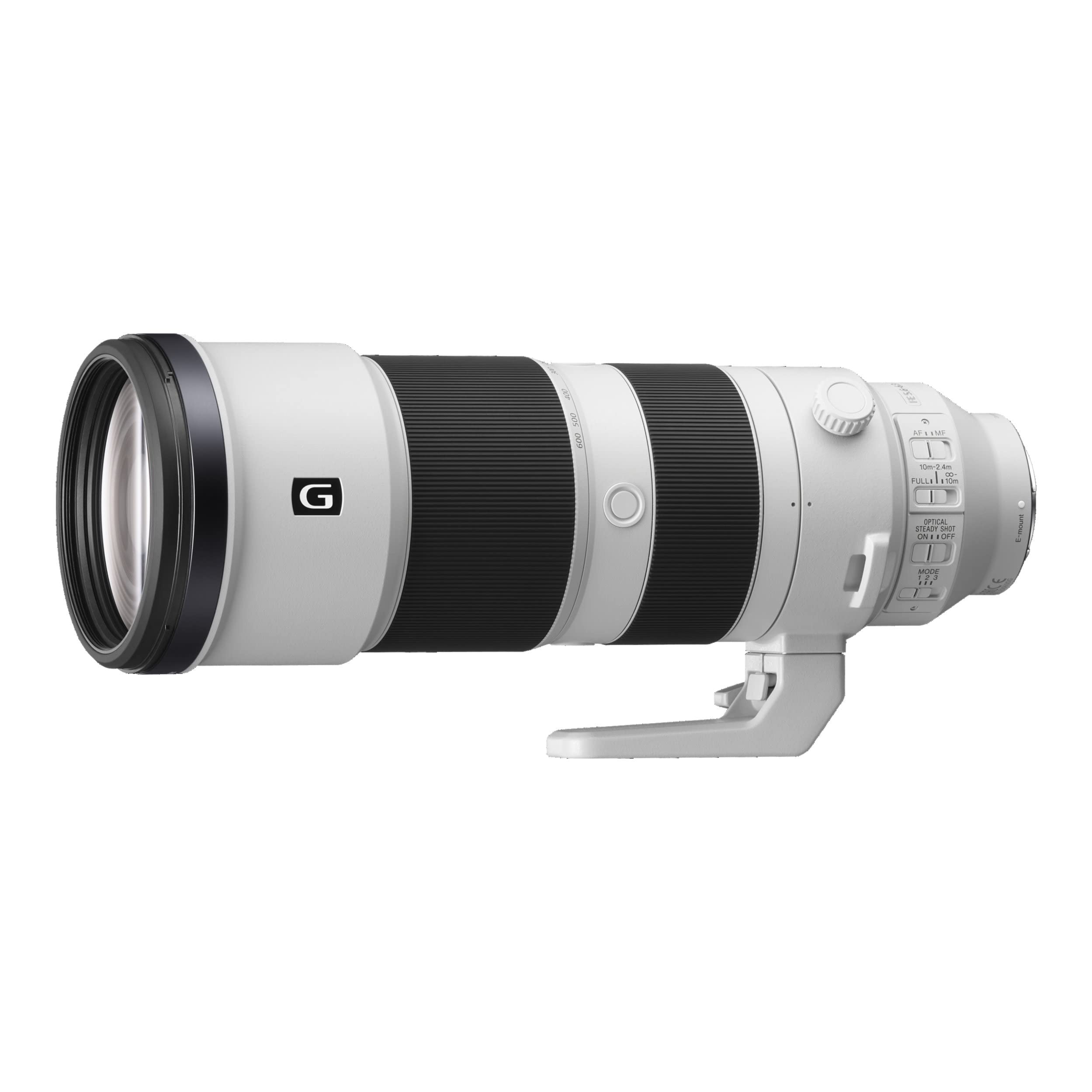 Sony 200-600 G Lens