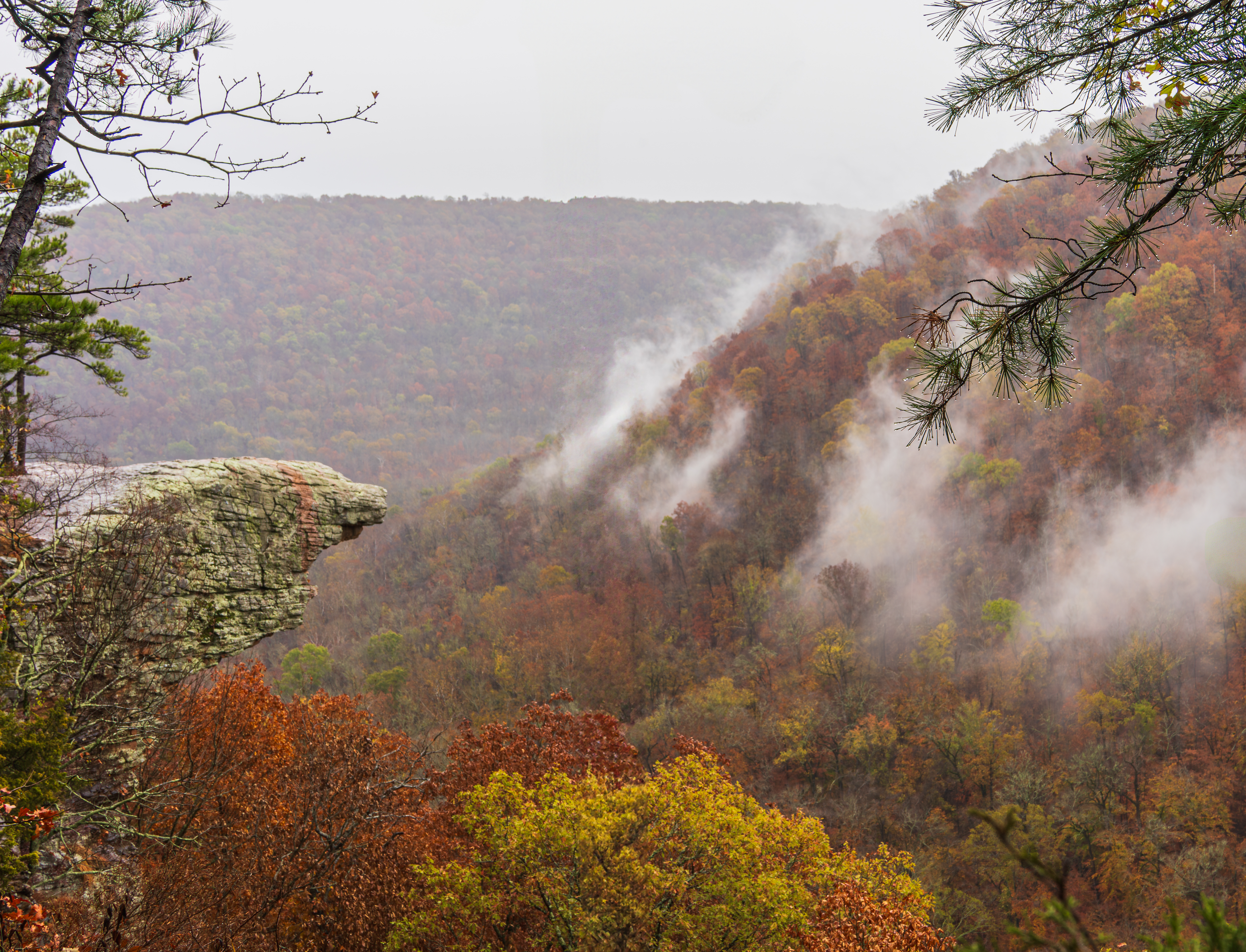 Whitaker Point, Arkansas